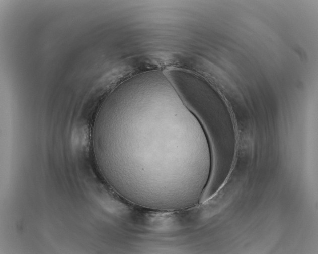 X0000112100132200908181334