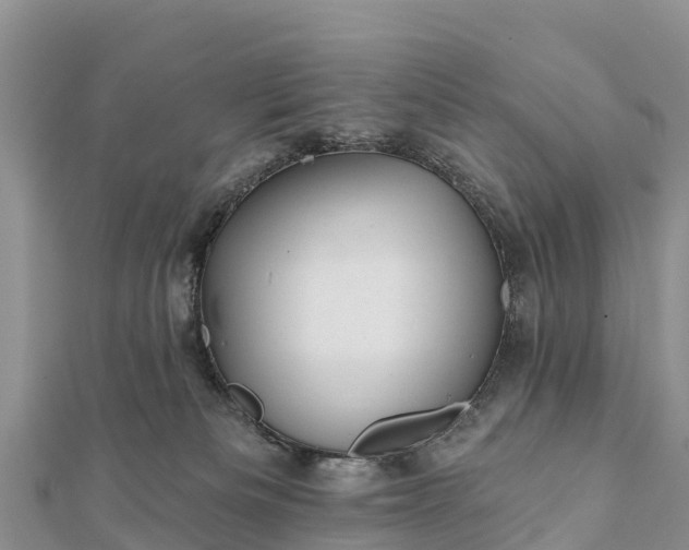 X0000112100133200908181334