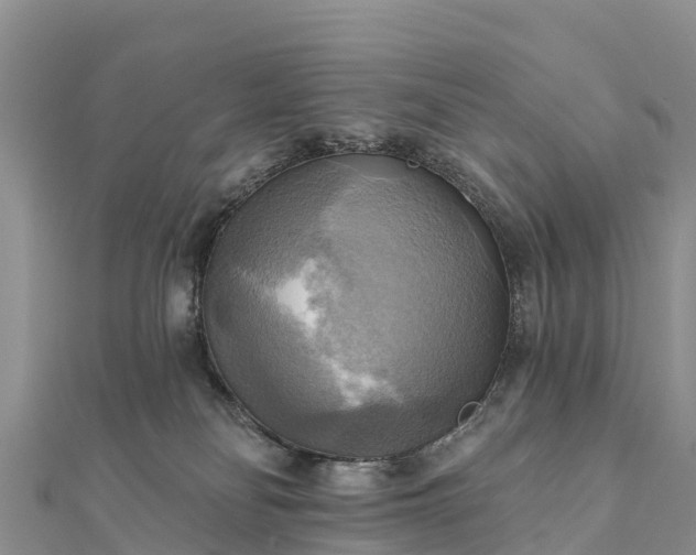 X0000112100134200908181334