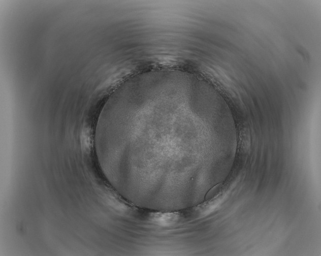 X0000112100135200908181334