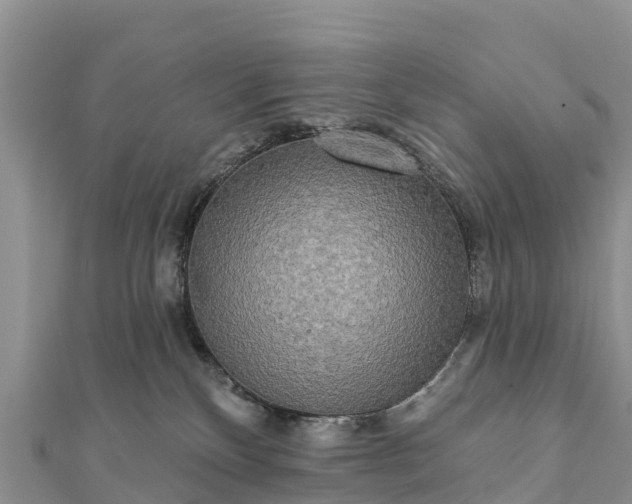 X0000112100136200908181334