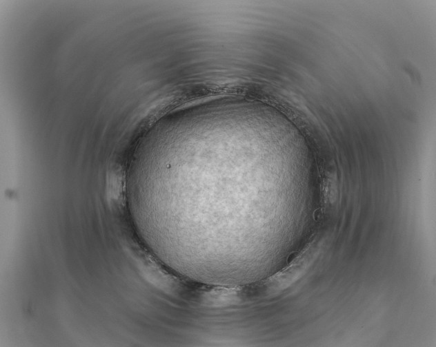 X0000112100138200908181334