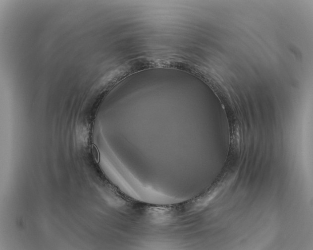 X0000112100139200908181334