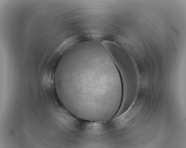 X0000112100140200908181334