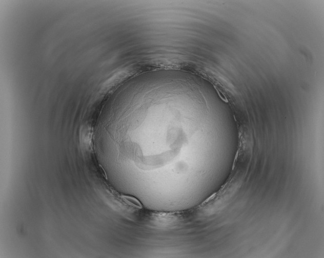 X0000112100141200908181334