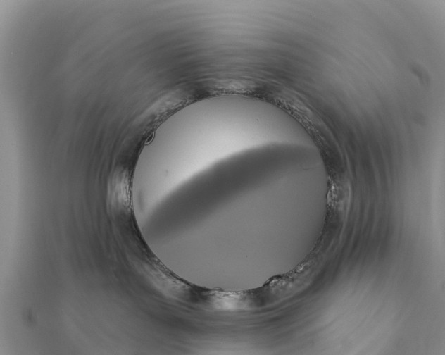 X0000112100143200908181334