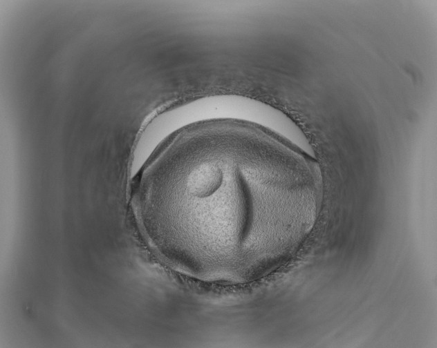 X0000112100144200908181334