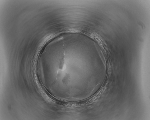 X0000112100145200908181333