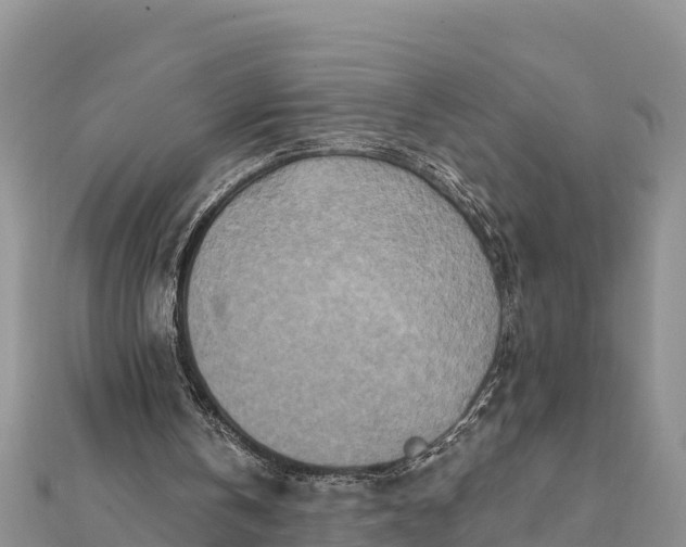 X0000112100146200908181333