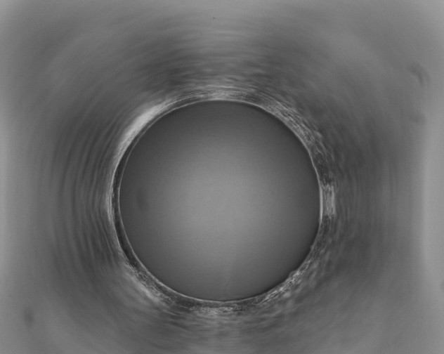 X0000112100147200908181333