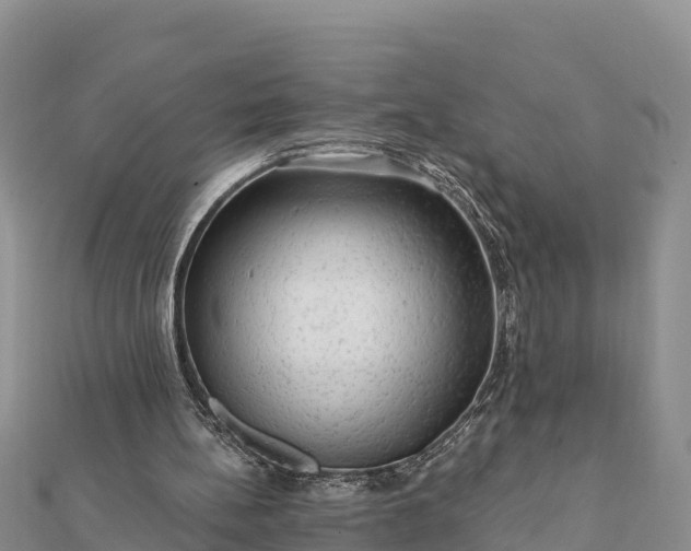 X0000112100148200908181333