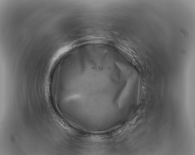 X0000112100149200908181333