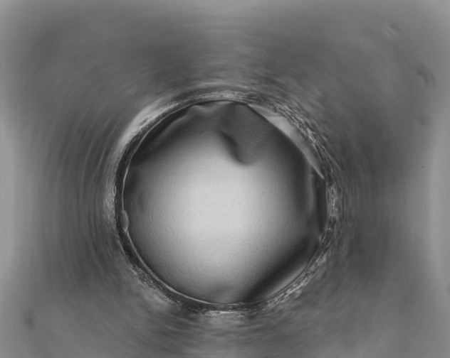 X0000112100150200908181333