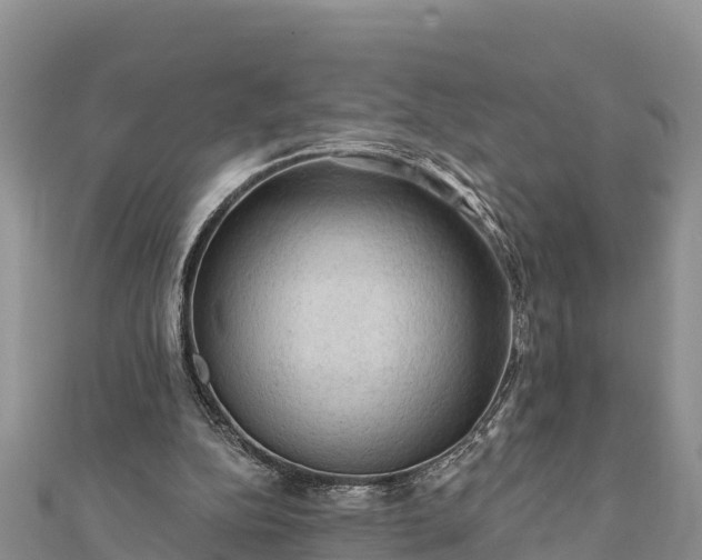 X0000112100152200908181333