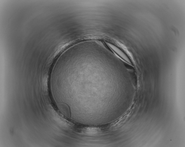 X0000112100154200908181333