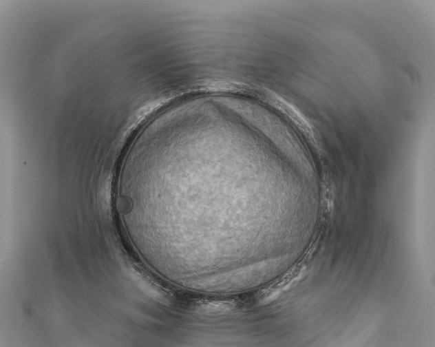 X0000112100155200908181333