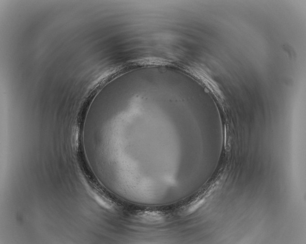 X0000112100157200908181333