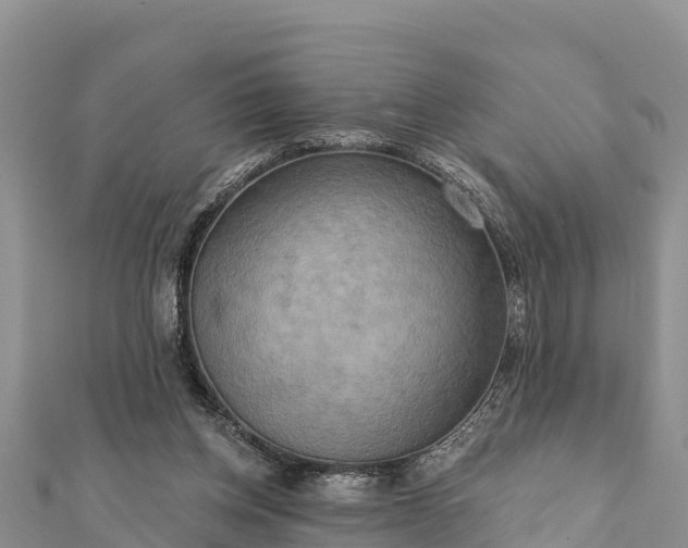 X0000112100158200908181333