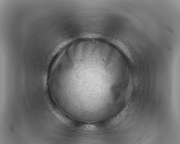 X0000112100159200908181333