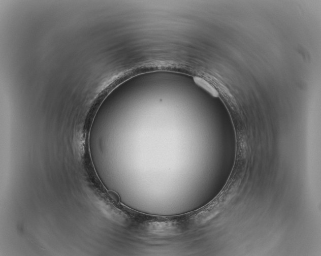 X0000112100160200908181333