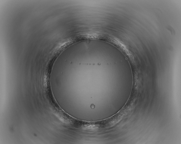 X0000112100161200908181333