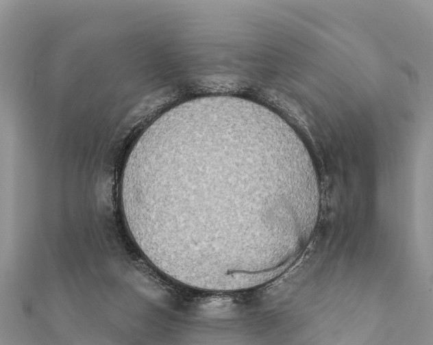 X0000112100162200908181333