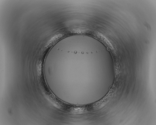 X0000112100163200908181333