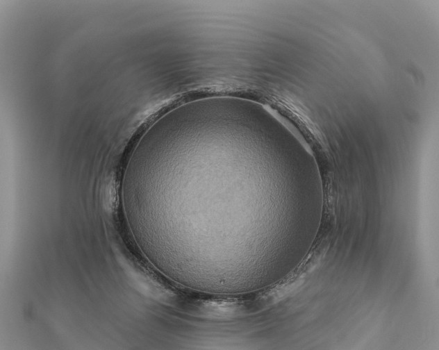 X0000112100164200908181333