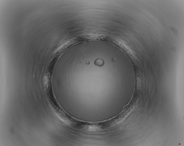 X0000112100165200908181333