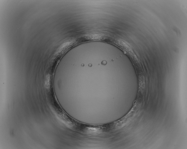 X0000112100167200908181333