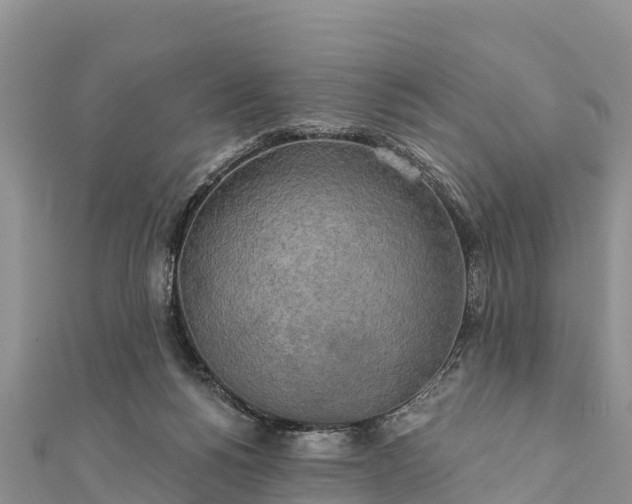 X0000112100168200908181333