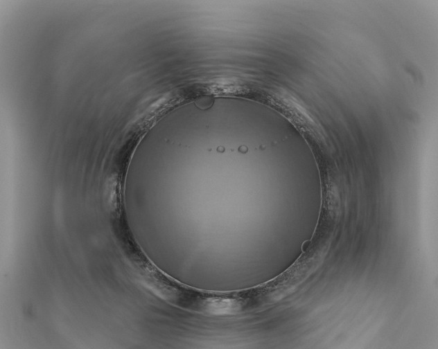 X0000112100169200908181333