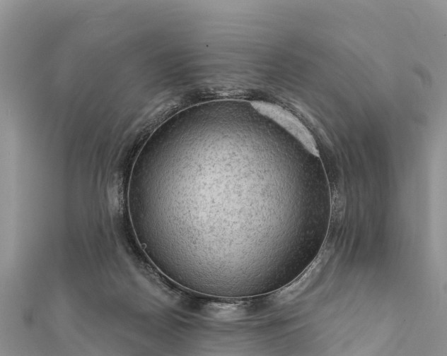 X0000112100170200908181333