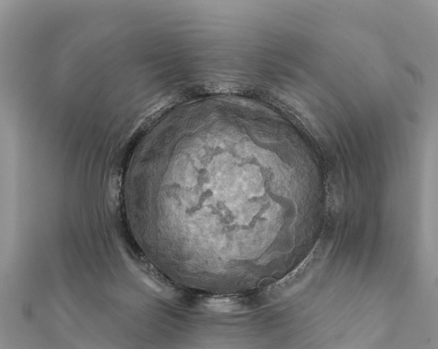 X0000112100171200908181333