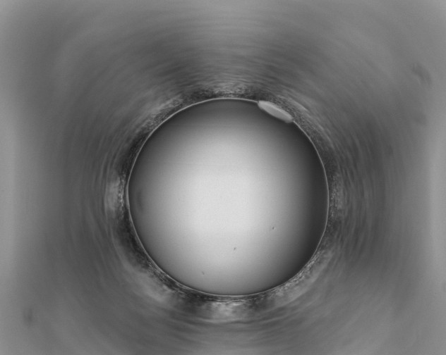 X0000112100172200908181333