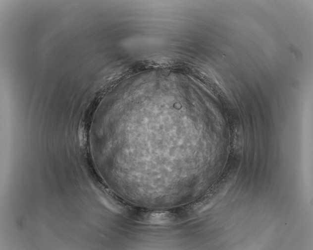 X0000112100173200908181333