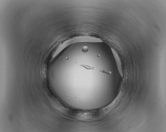 X0000112100174200908181333