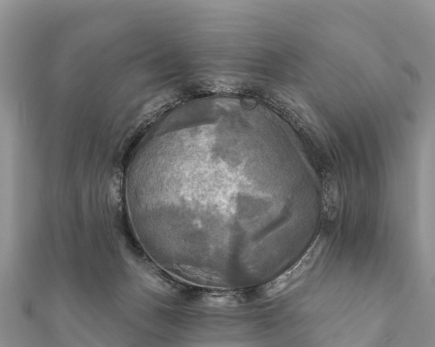 X0000112100175200908181333