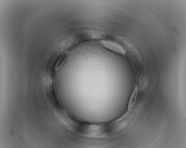 X0000112100176200908181333