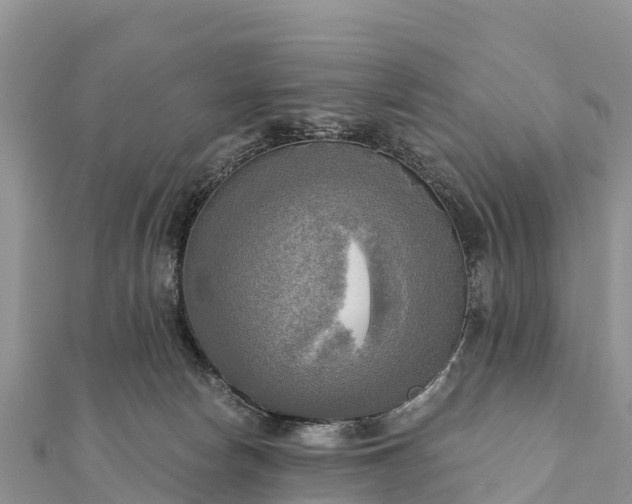 X0000112100178200908181333