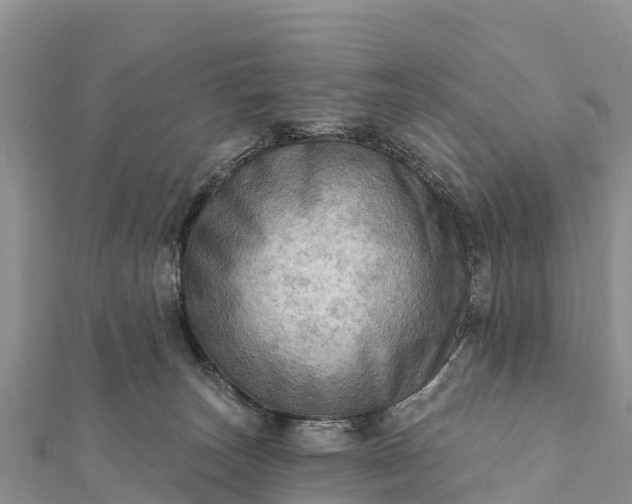 X0000112100179200908181333