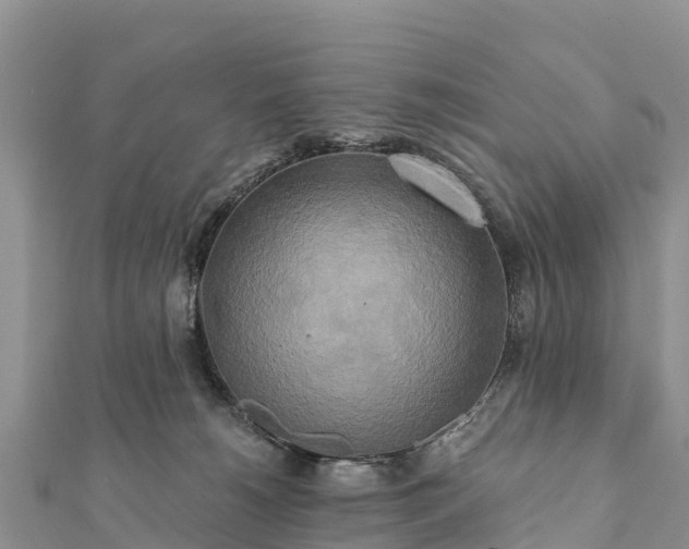 X0000112100180200908181333