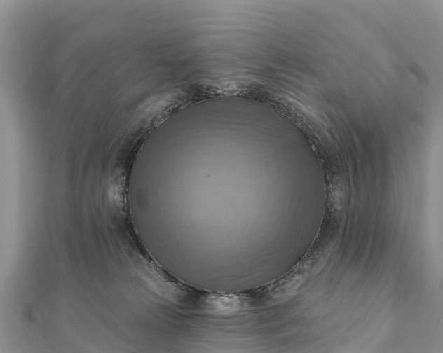 X0000112100181200908181333