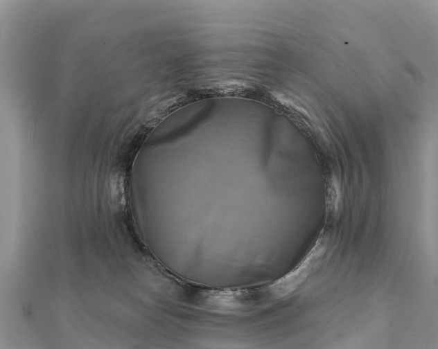 X0000112100182200908181333