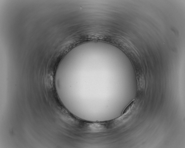 X0000112100183200908181333