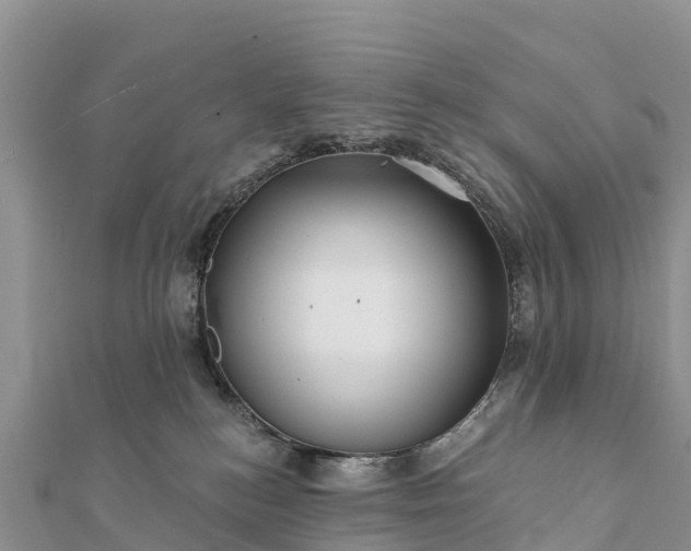 X0000112100184200908181333