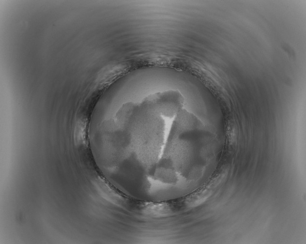 X0000112100185200908181333