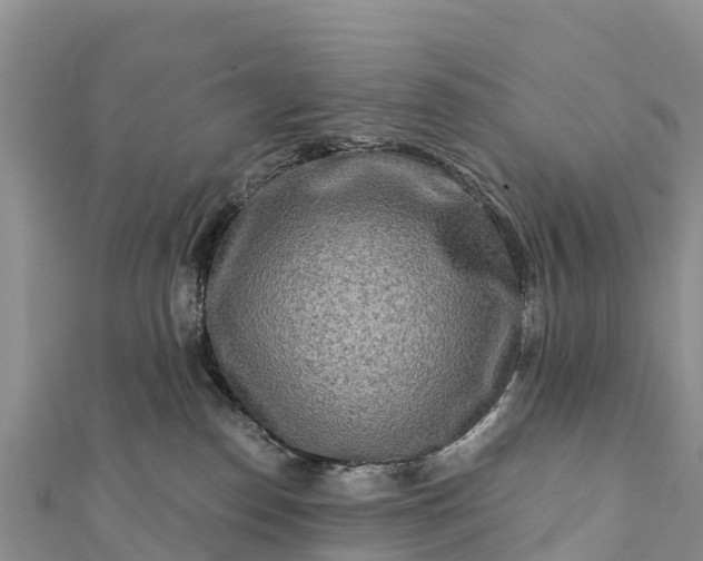 X0000112100186200908181333