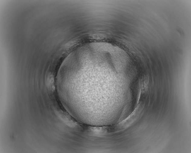 X0000112100187200908181333