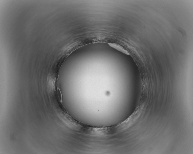 X0000112100188200908181333